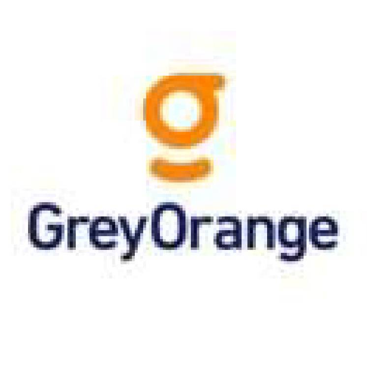 Grey Orange